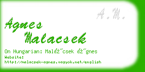 agnes malacsek business card